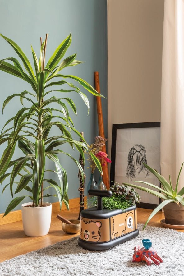 La Cosa 1 - Animaux - Porteur Lion - 1/6 ans - Italtrike - myplayground