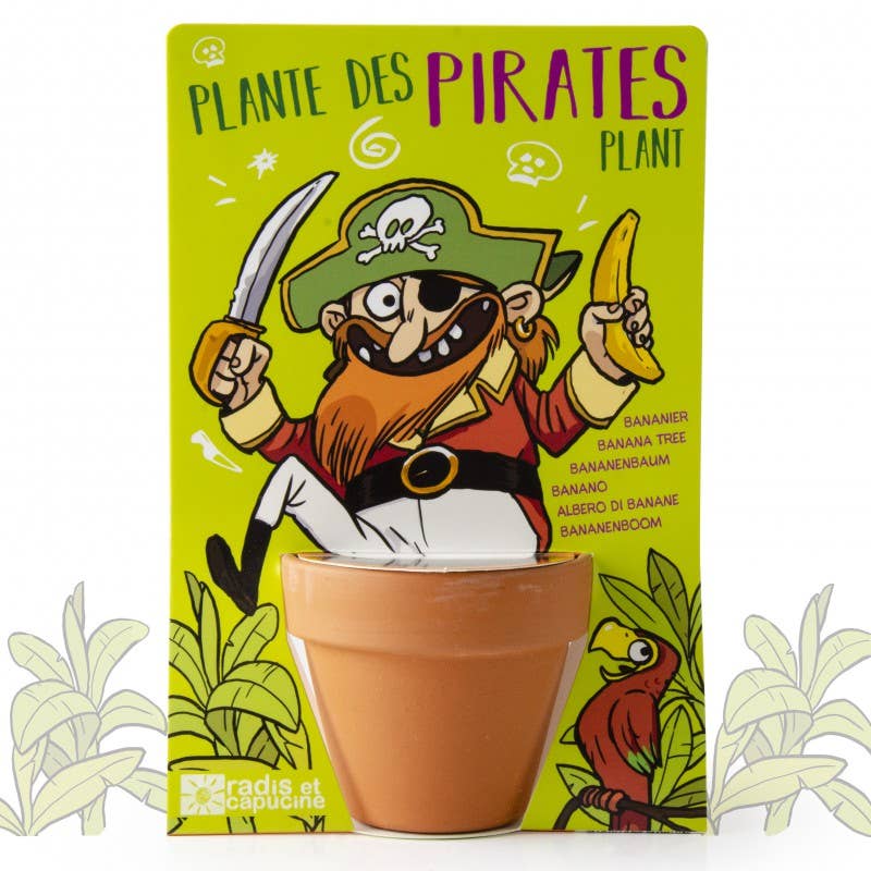 Carte nature Pirate - Bananier - Kit créatif de jardinage Enfant - myplayground