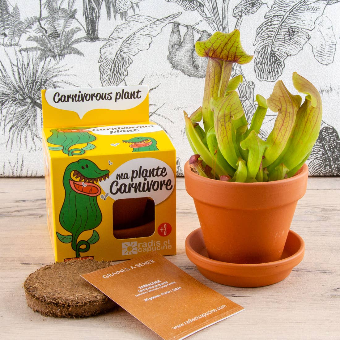 La plante carnivore - Kit créatif de jardinage Enfant - myplayground