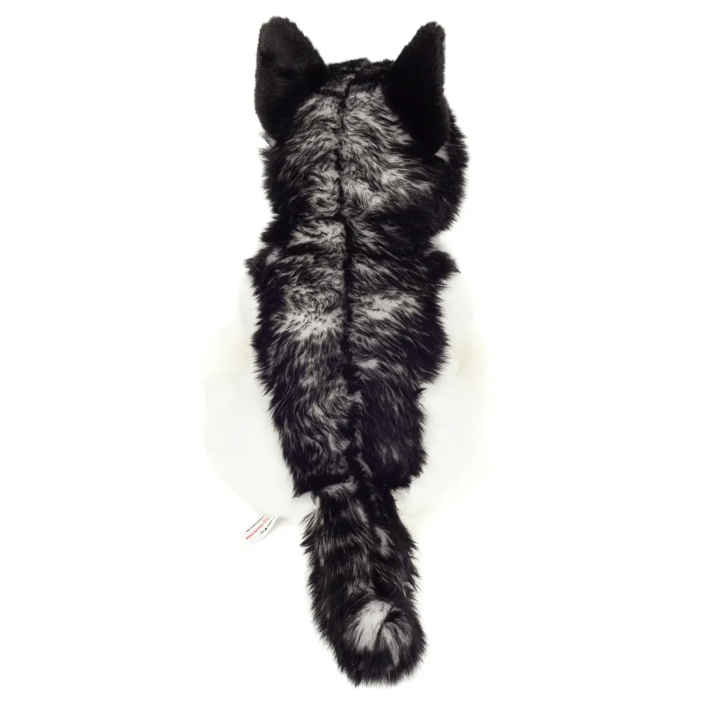 Husky assis 30 cm - peluche - peluche - Teddy Hermann by Teddy Hermann