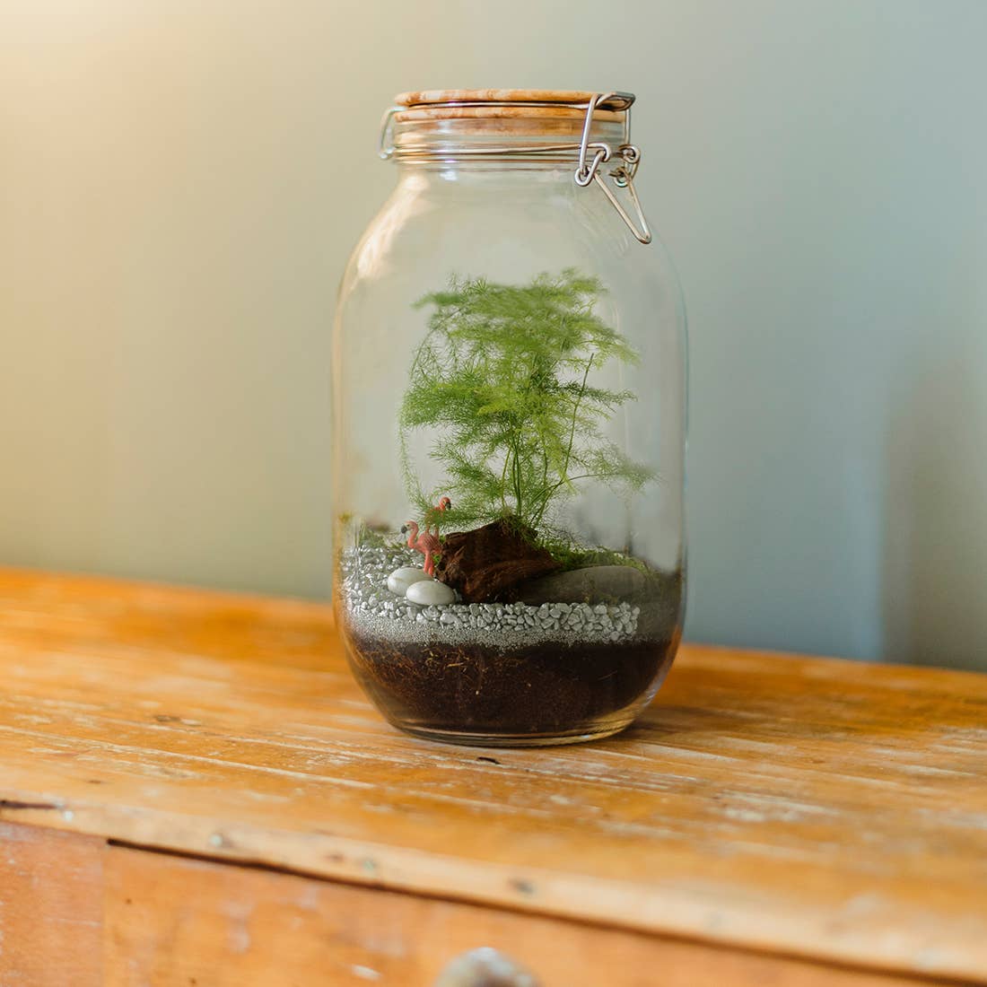 Kit pour créer ton propre terrarium - Kit créatif de jardinage Enfant - myplayground