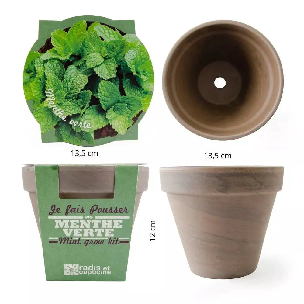 Pot en terre cuite - Menthe verte - Radis et Capucine by Radis Et Capucine