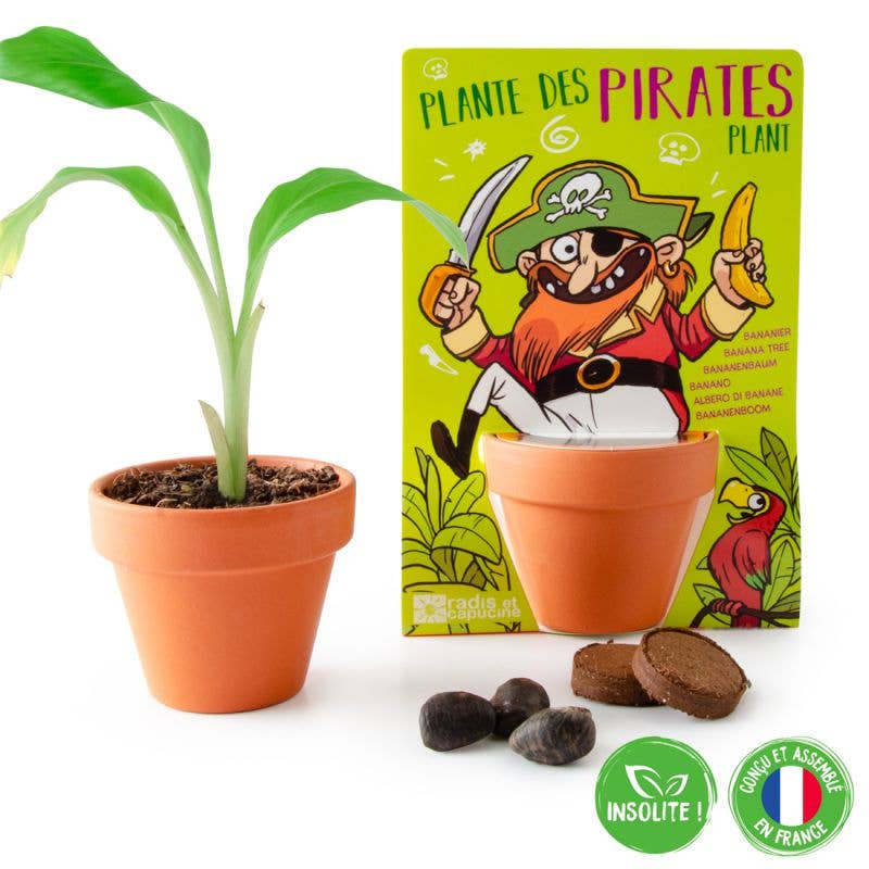 Carte nature Pirate - Bananier - Kit créatif de jardinage Enfant - myplayground