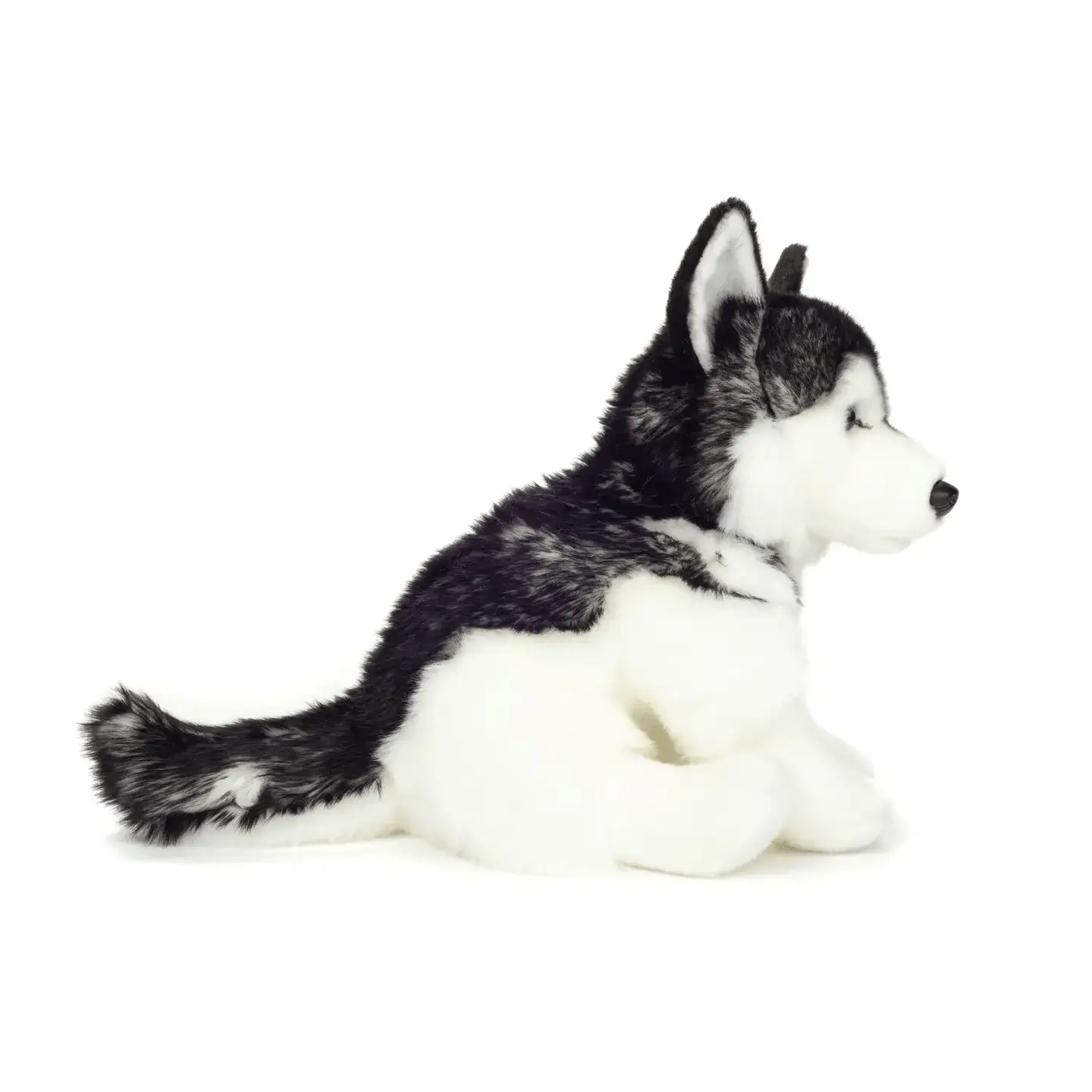 Husky assis 30 cm - peluche - peluche - Teddy Hermann by Teddy Hermann