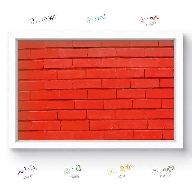 Couleurs - Imagier multilingue - Balivernes Editions by Balivernes Editions