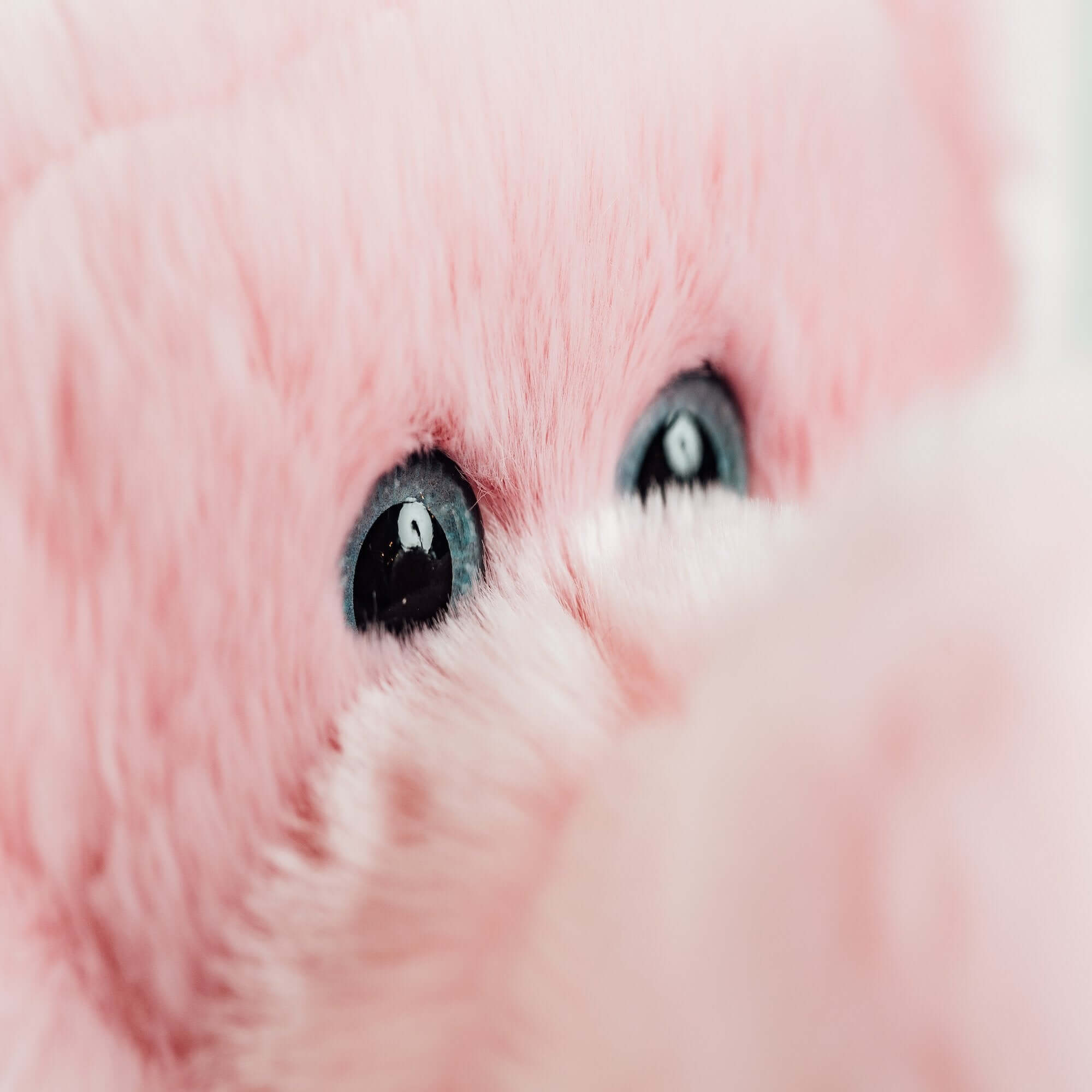 Ma peluche Éléphant Victor - La Pelucherie - myplayground