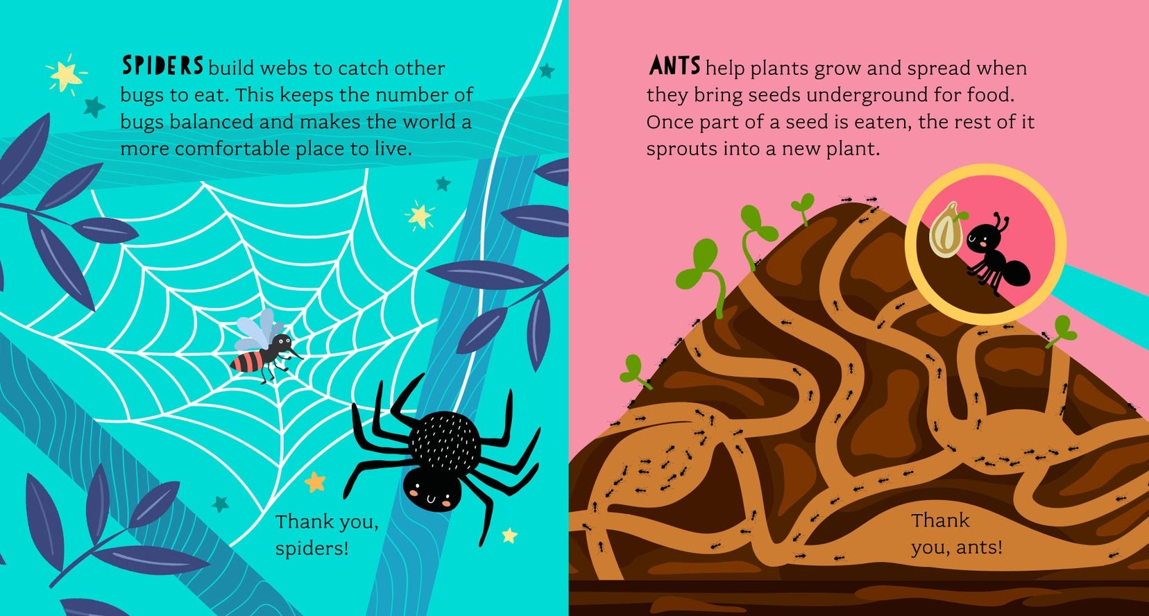 Bathtub Genius : Découvrons les Insectes - Bushel & Peck Books - myplayground