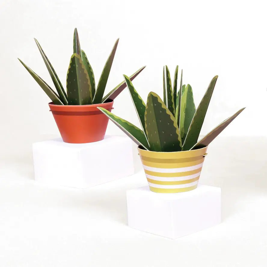 Fabriquez votre propre plante curative en papier à l'aloe vera - Clockwork Soldier by Clockwork Soldier