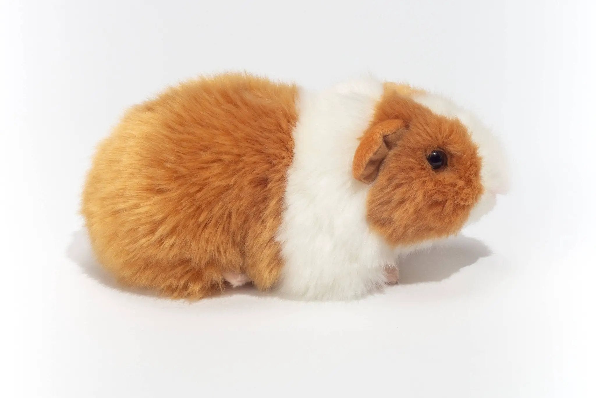 Cochon d'Inde doré/blanc 20 cm - peluche - peluche by Teddy Hermann