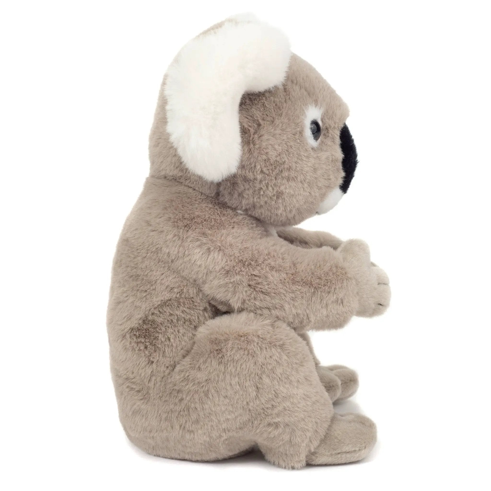 Koala assis 21 cm - peluche - peluche by Teddy Hermann