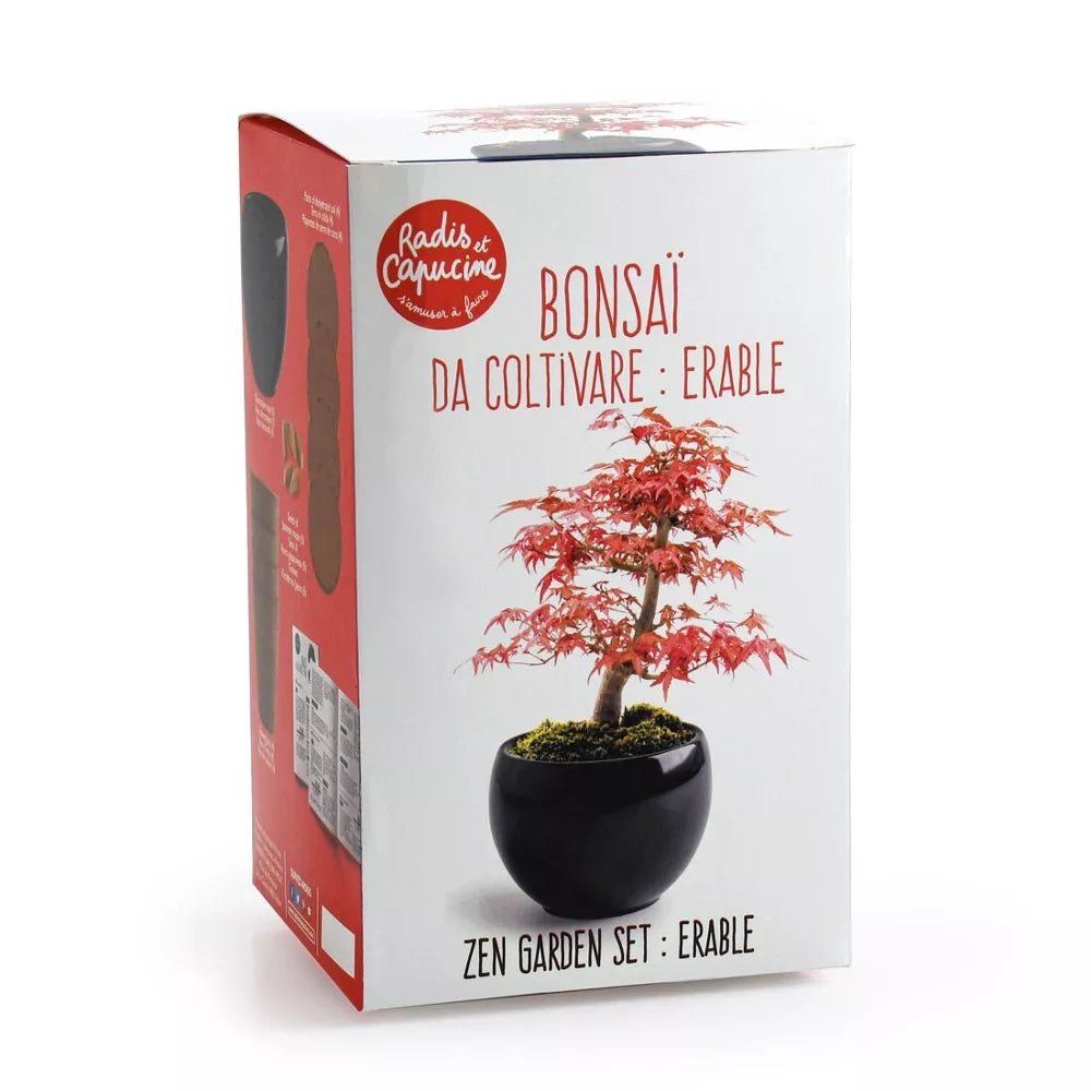 Kit Bonsaï Erable rouge - Radis et Capucine - myplayground