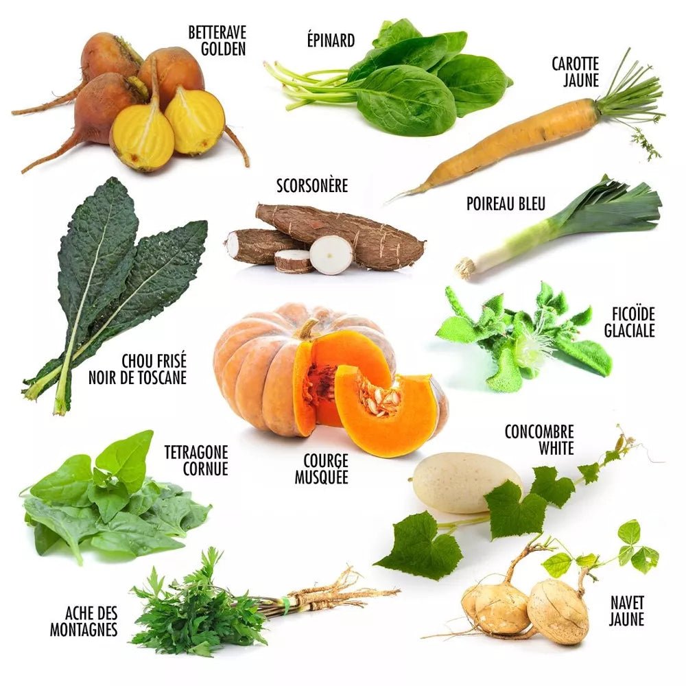 Enveloppe de 12 sachets - Légumes anciens - Radis et Capucine - myplayground