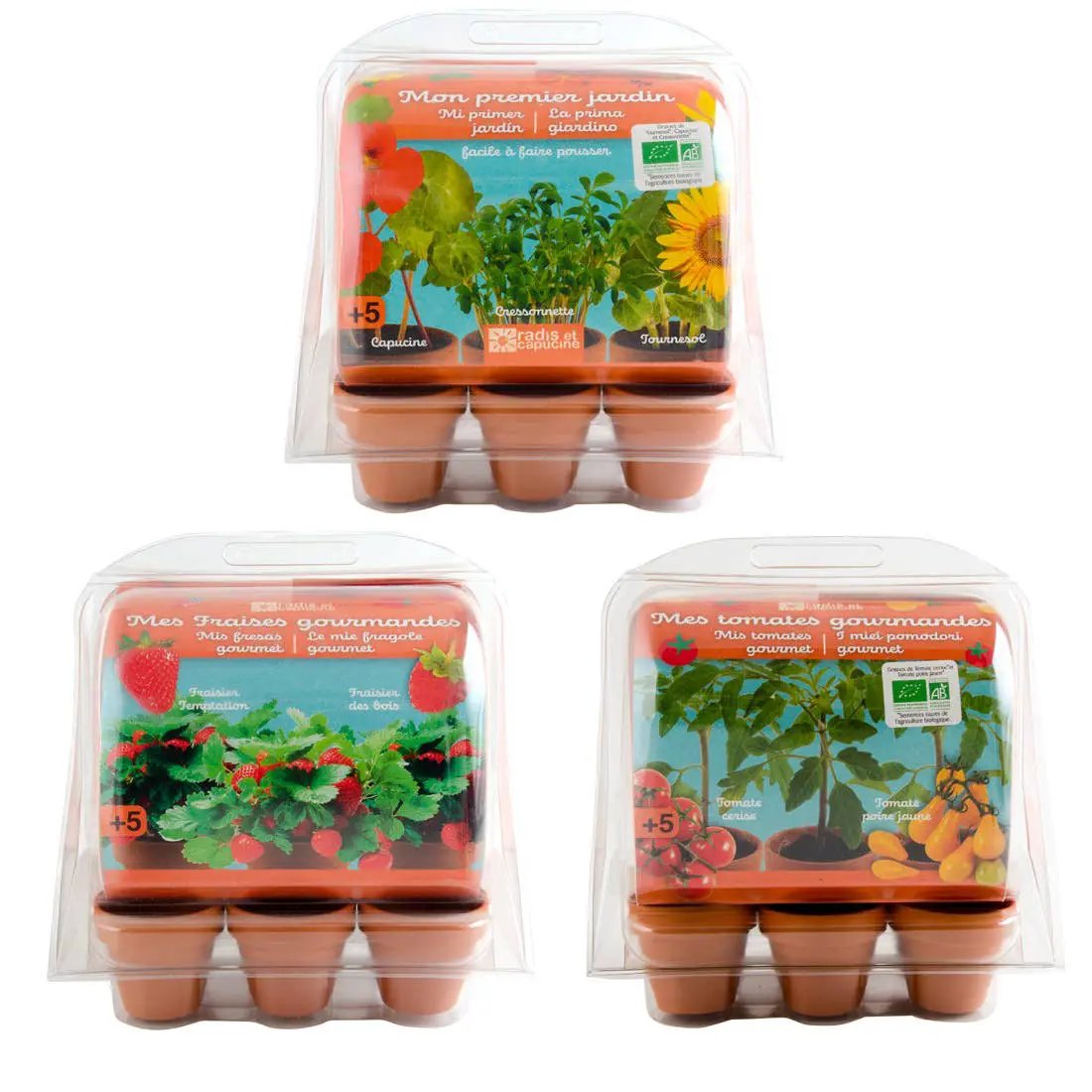 Serre 6 pots - Tomates Bio enfants - Kit créatif de jardinage Enfant by Radis Et Capucine