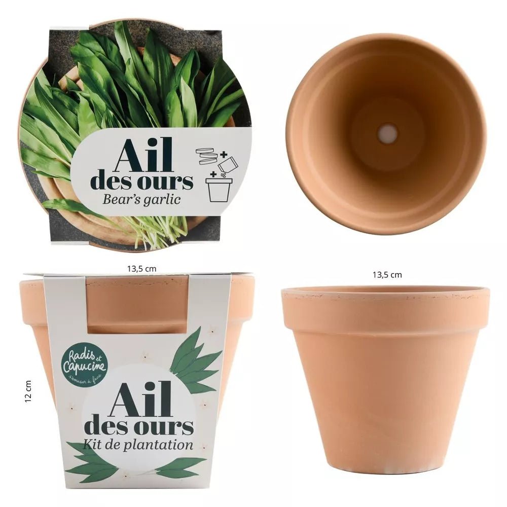 Pot Terre cuite Antique - Ail des ours - Radis et Capucine - myplayground