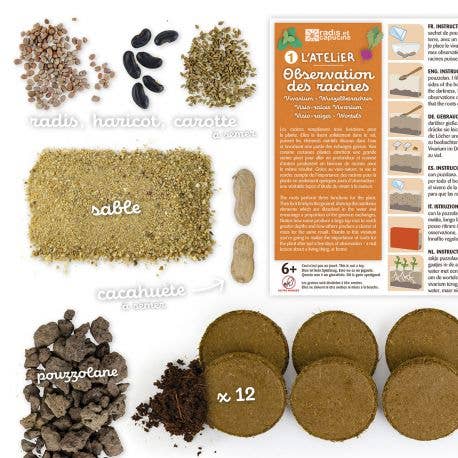 Vivarium Observation des racines - Kit créatif de jardinage Enfant - myplayground