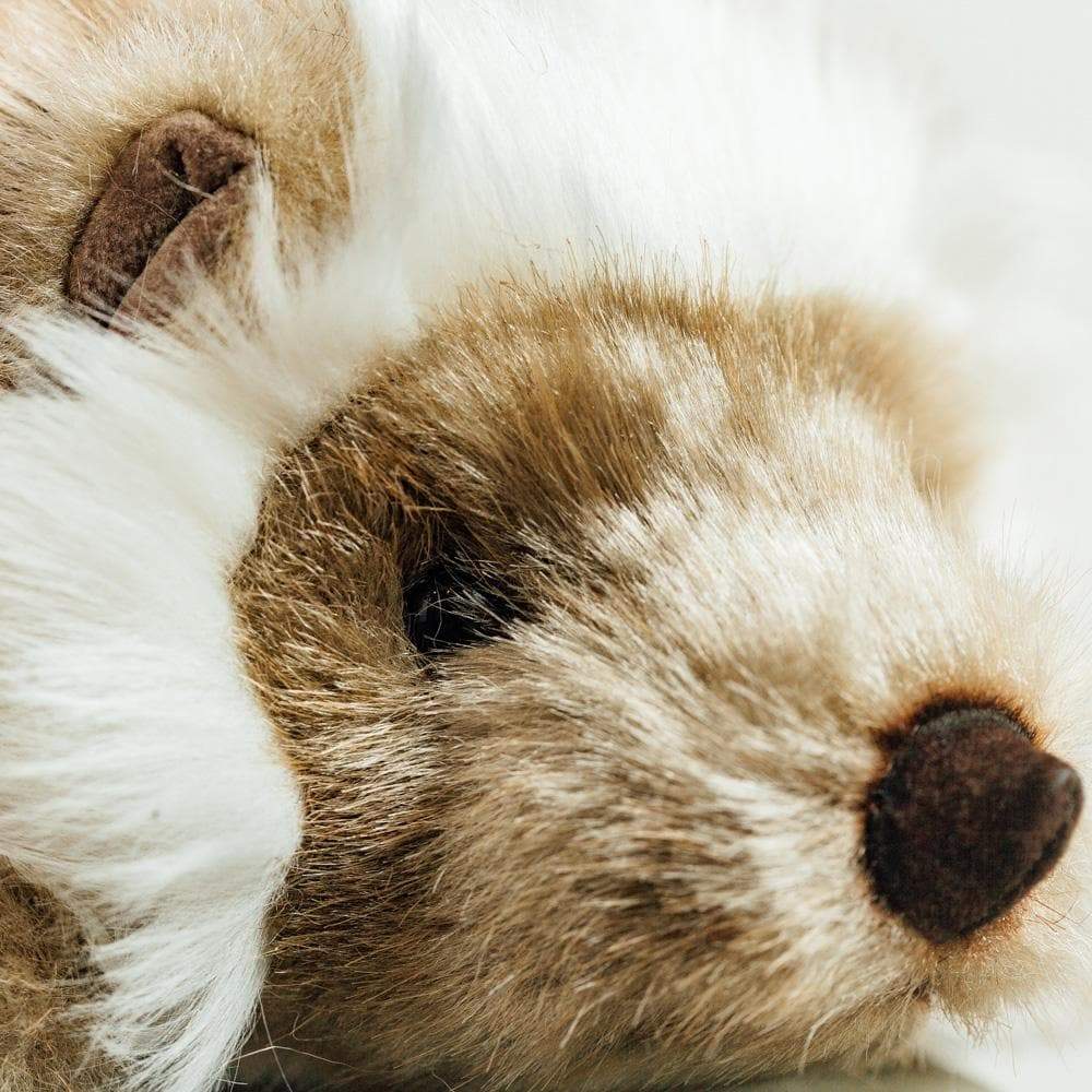 Ma peluche Hérisson Alfred - La Pelucherie - myplayground