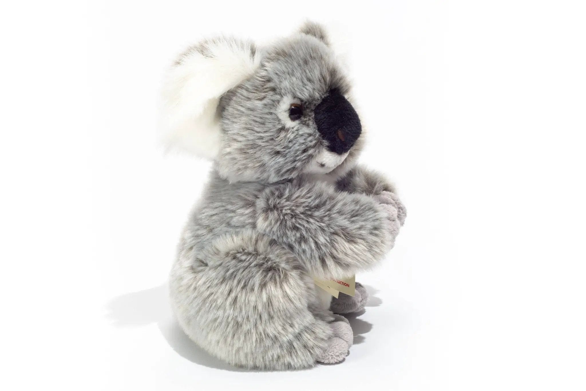 Koala 21 cm - peluche - peluche by Teddy Hermann