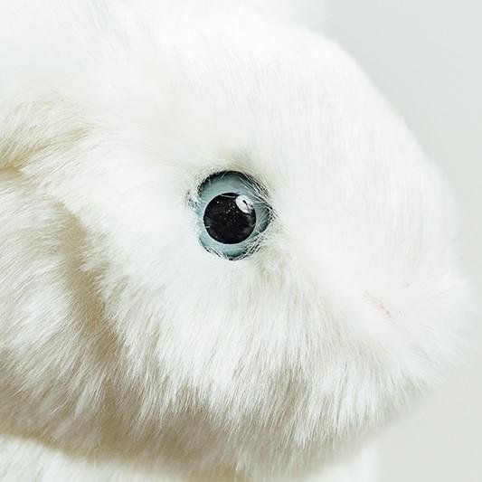 Ma peluche Lapin Léon - La Pelucherie - myplayground