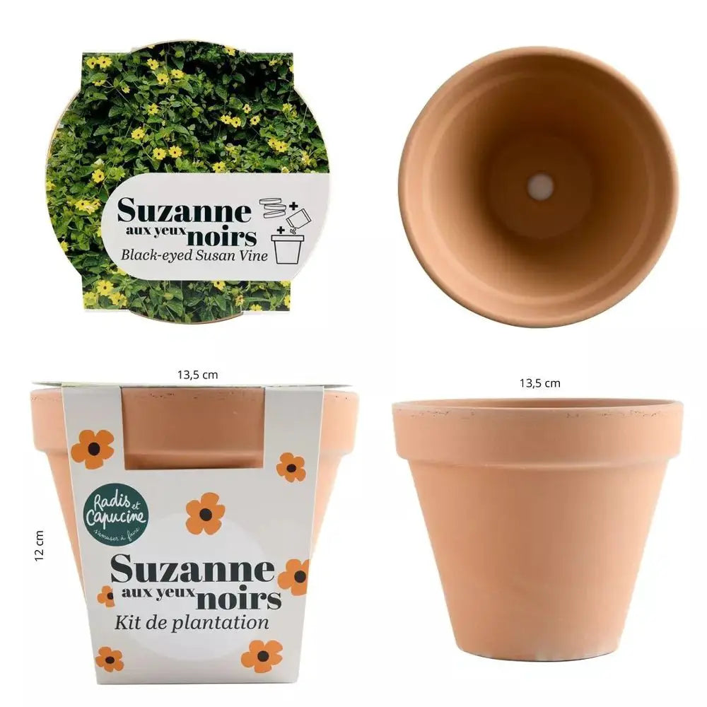 Pot Terre cuite Antique - Suzanne aux yeux noirs - Radis et Capucine by Radis Et Capucine