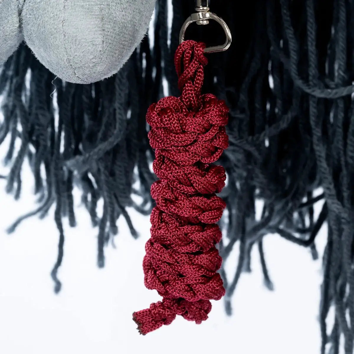 Licol et longe rouge by ByASTRUP