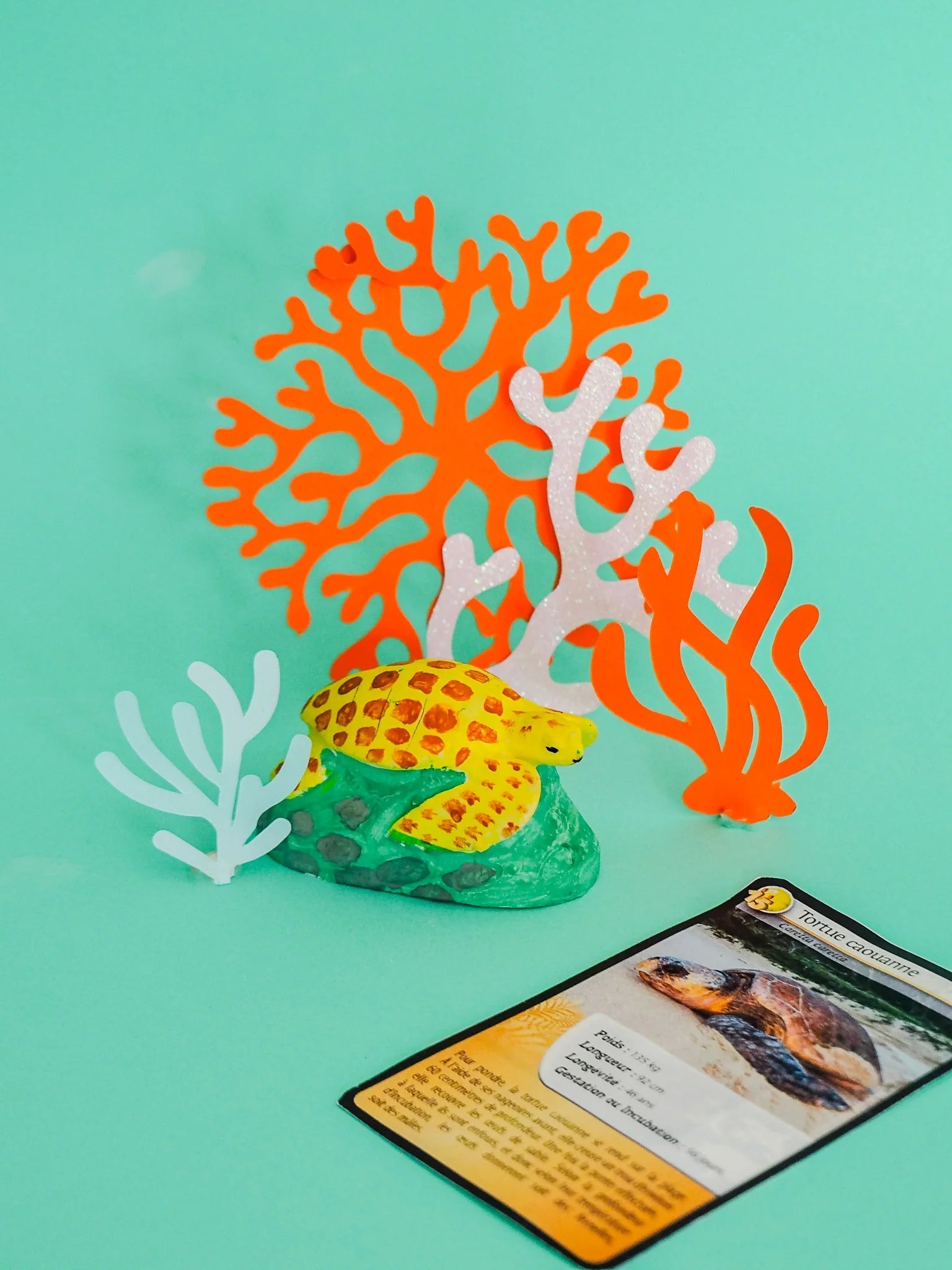 Mako Moulages - Espèces Protégées 2 - Mako Créations - myplayground