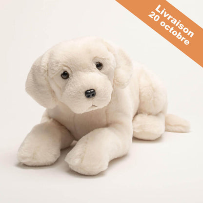 Ma peluche Labrador Marius