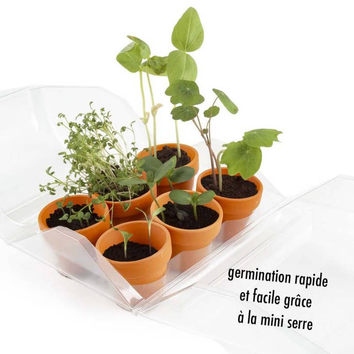 Kit DIY - Mini serre plastique recyclé mon premier jardin - Kit créatif de jardinage Enfant Kit DIY Radis Et Capucine Kit DIY - Mini serre plastique recyclé mon premier jardin - Kit créatif de jardinage Enfant myplayground