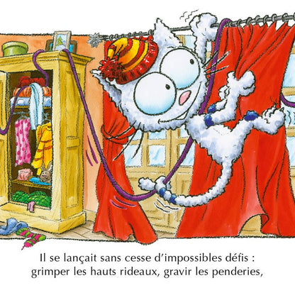 Le chat Seneige