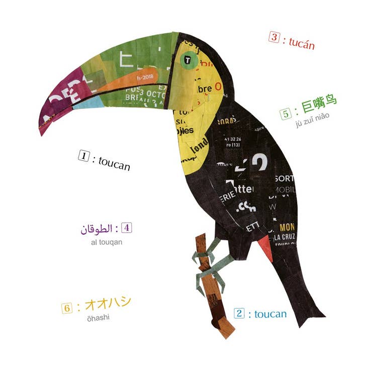 Livre d'Images Multilingue sur les Animaux - Jeu éducatifs  Balivernes éditions Livre d'Images Multilingue sur les Animaux - Jeu éducatifs myplayground