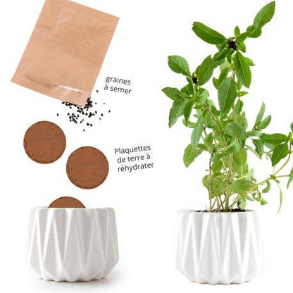 Pot origami - Petit Modèle Basilic Thaï - Kit créatif de jardinage Enfant