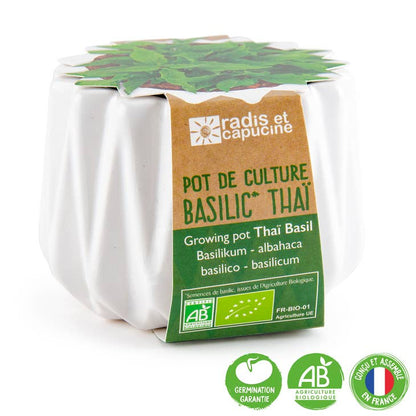 Pot origami - Petit Modèle Basilic Thaï - Kit créatif de jardinage Enfant