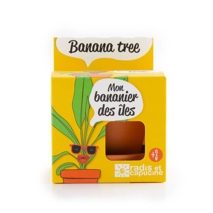 Graines de Bananier en pot de culture - Kit créatif de jardinage Enfant - myplayground